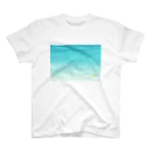 しろくろショップのだいふくかえる🟢浅瀬でちゃぷちゃぷ スタンダードTシャツ