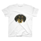 日なたの窓のうちの犬 スタンダードTシャツ