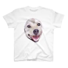 TanTan店の犬、♪ スタンダードTシャツ