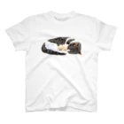 なはるんの丸まる猫 Regular Fit T-Shirt