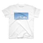 nikarasの春色の空 スタンダードTシャツ