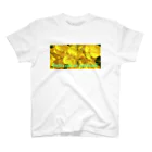  #satisfyingの菜の花　【啓蟄】　Brassica rapa var. amplexicaulis Regular Fit T-Shirt