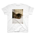 工房かみりゅんの家の猫　茶虎 Regular Fit T-Shirt