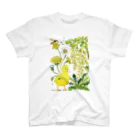 MaiSuznoの雨の庭シリーズ_アヒルの子 Regular Fit T-Shirt