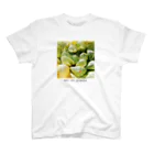 Art na plantsのArt na plants　ハオルチア　オブツーサ　マリン スタンダードTシャツ