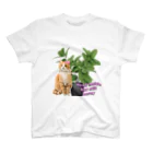 𝙈𝙊𝙈𝙊'𝙨 𝙎𝙝𝙤𝙥の植物とねこ_02 Regular Fit T-Shirt