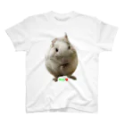 デグーのプラハのデグー　degu❤️ スタンダードTシャツ