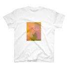 swimming_fruitsのFlor de Sakura スタンダードTシャツ