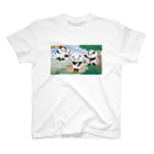 ZERO POINT 銀座のパンダの誕生 Regular Fit T-Shirt