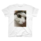 わが家の猫山さん。の猫山さん。はるがきた。 スタンダードTシャツ