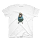 余白🦜のシンプルアメリT(実写) スタンダードTシャツ