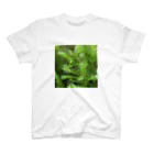 アトリエWindwingの山の天然苔 Regular Fit T-Shirt