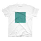 「Birth Day Colors」バースデーカラーの専門店の12月19日の誕生色「ラグーン」 Regular Fit T-Shirt