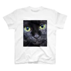 YSD-yamatoのPrettyCat　ヤマト Regular Fit T-Shirt