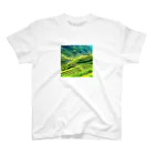 dolphineの日本の原風景　棚田 Regular Fit T-Shirt