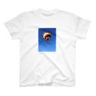 aozoraの気球 Regular Fit T-Shirt