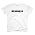 推概念文字屋の推概念文字【猫目派手髪気怠男】 スタンダードTシャツ