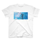 PixVoxFoxの夏空 スタンダードTシャツ