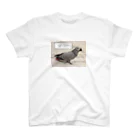 お出かけヨウムのインコは野生では生きていけません スタンダードTシャツ