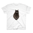 ふぇっとのうちの猫　弐 スタンダードTシャツ