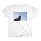 Robin_Hiroshimaの台湾で出会った猫さん スタンダードTシャツ