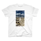 れもその小さいお店の夏を感じる海の景色【暗】 スタンダードTシャツ