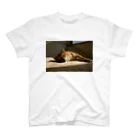 朔工房の夕焼けの柴犬 スタンダードTシャツ