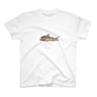 Osakana CraftのCorydoras aeneus スタンダードTシャツ