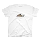 Osakana CraftのCorydoras leopardus スタンダードTシャツ