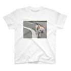 ロキの店の歩行拒否犬 Regular Fit T-Shirt