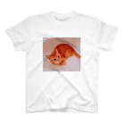 DTIの猫 スタンダードTシャツ