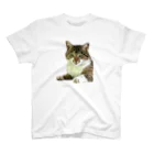 SHOPひばさんのキリッとした顔のねこ スタンダードTシャツ