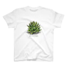 plants_junのAgave Victriae Reginae スタンダードTシャツ