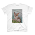 ショップみほりんの子猫のチロルちゃん Regular Fit T-Shirt