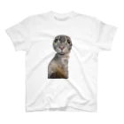 レナナッツの猫のこーしゃん Regular Fit T-Shirt