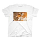 豆柴げんちゃんの鎌倉の猫 スタンダードTシャツ