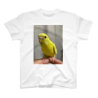 そらゆめインコのルチノーインコ Regular Fit T-Shirt