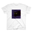 H1N4の猫の絵 Regular Fit T-Shirt