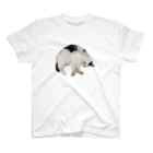 SUGARのsleep cat スタンダードTシャツ