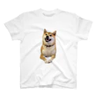 SHIBAOOOOOの柴犬のしばおくん　おすまし スタンダードTシャツ