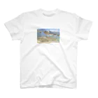 うきごりの琵琶湖の魚たち~ハスとニゴイ スタンダードTシャツ