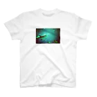 CROSS PROCESS（クロスプロセス）のaquarium_blue  スタンダードTシャツ