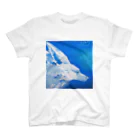 辰沼ディア🐲✴️Vtuber活動楽しい！！！の青と狐のような何か Regular Fit T-Shirt