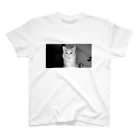 ねこすきシスターズのかわいいねこ スタンダードTシャツ