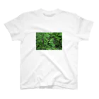 BlackJokesShopの420（大麻） Regular Fit T-Shirt