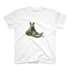 haru_nelの猫のネルちん　Tシャツ Regular Fit T-Shirt