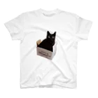 親父と猫のるるの箱入りにゃんこ Regular Fit T-Shirt