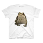 my sweetest toadのmy sweetest toad 2023 ver.A スタンダードTシャツ