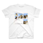 hi0922beの猫はかわいい！ スタンダードTシャツ