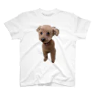 ぷ〜の家のぴかぴかの犬 Regular Fit T-Shirt